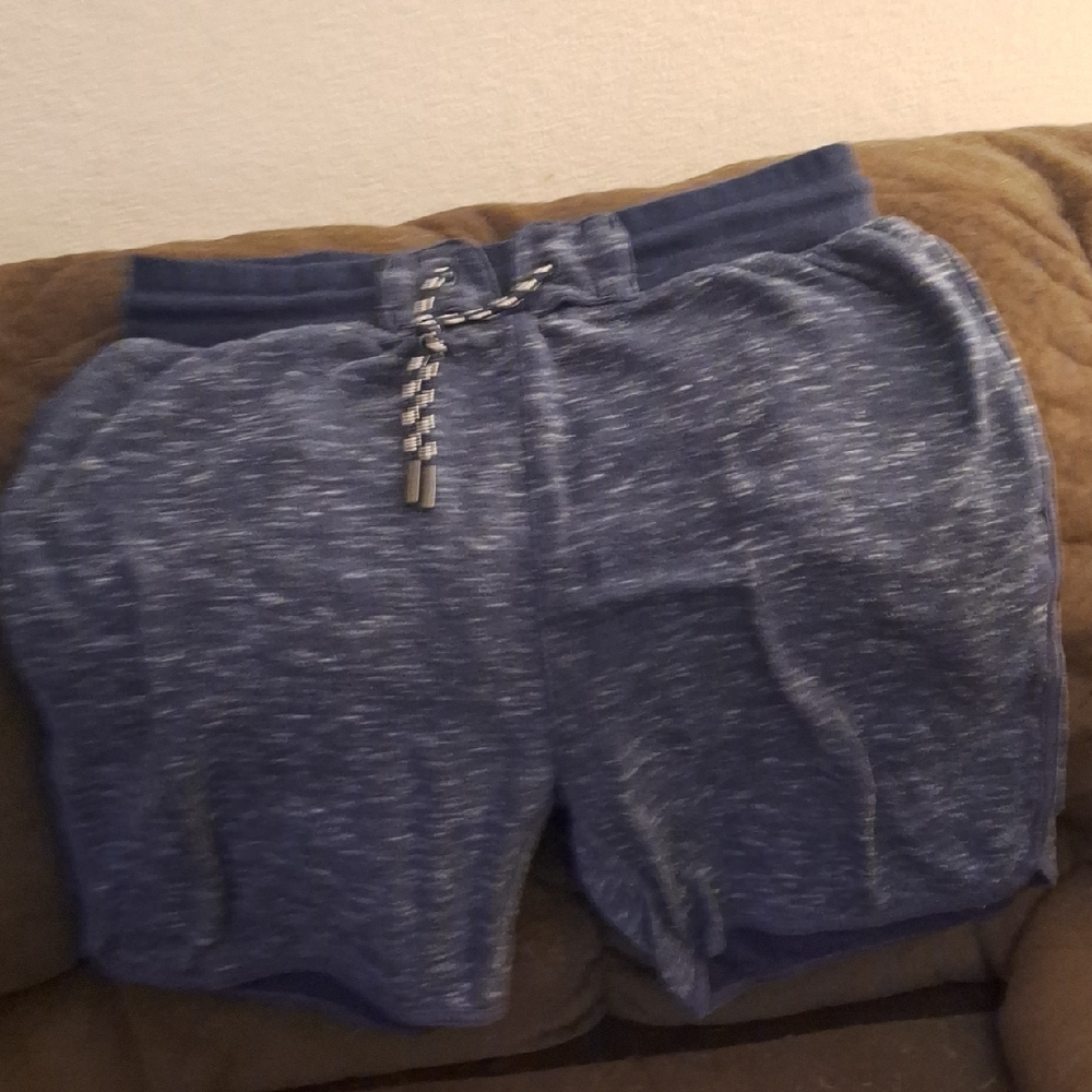 Burnside Heathered Blue Athletic Shorts